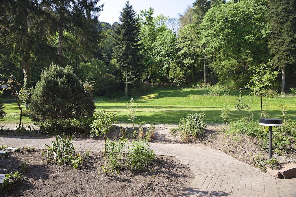 Hotel Luisenpark Bad Bergzabern Zewnętrze zdjęcie